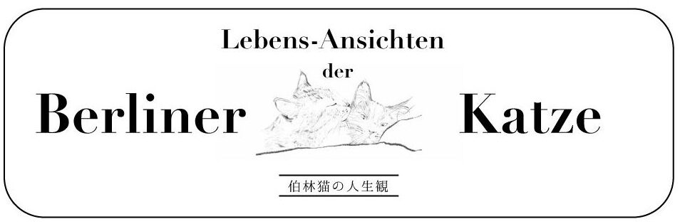 ベルリン猫の人生観