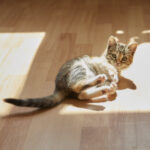 【ベルリンで出産準備】日本人夫婦の私たちが産院へ持って行った「入院バッグ」まとめ