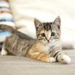 【ベルリンでの出産レポ】ドイツで迎えた出産当日。長い一日のはじまりから、わが子誕生まで