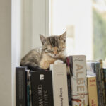 【退院後レポ】ドイツでの産後生活と Hebamme の訪問について